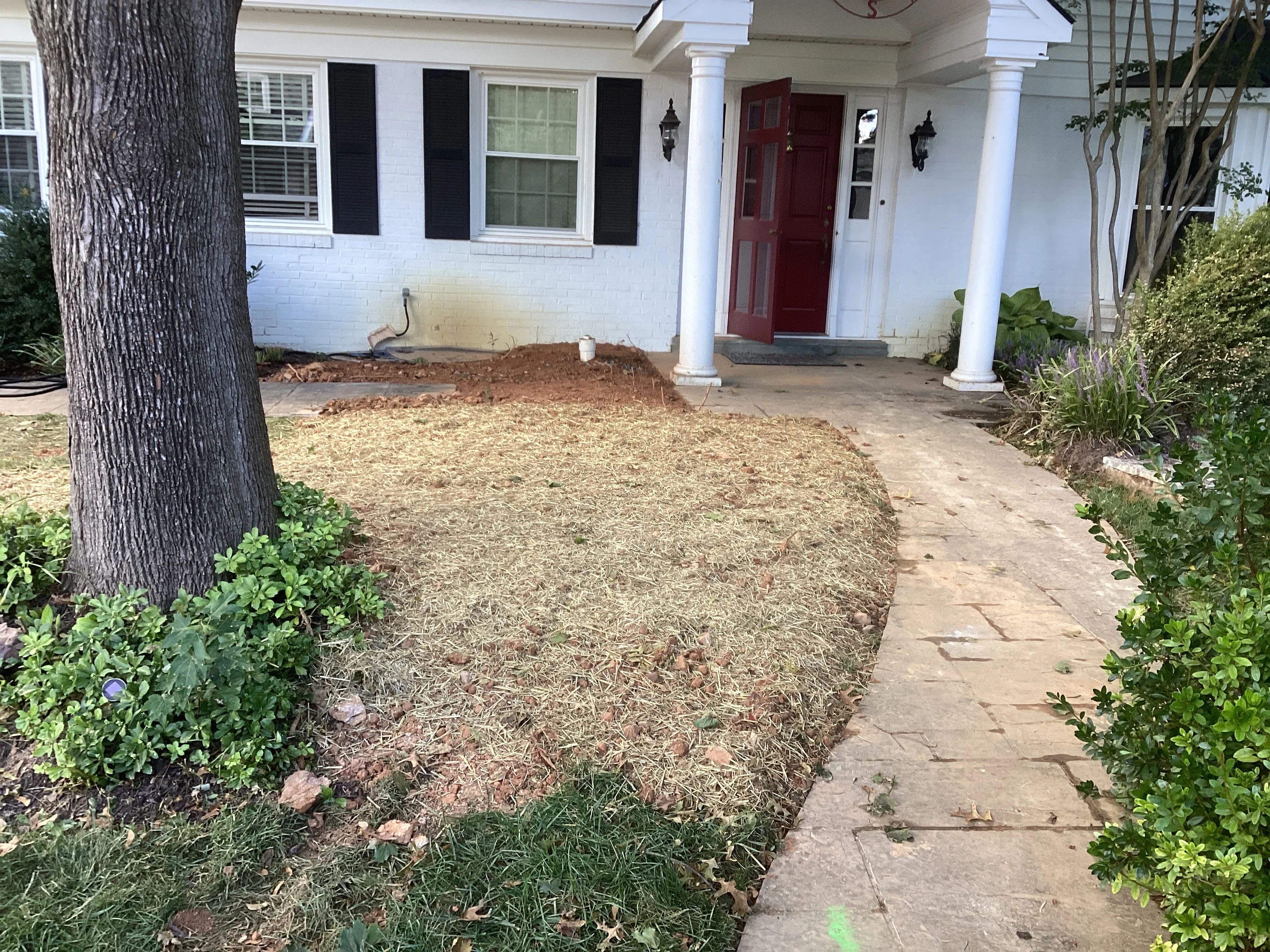 Front yard excavation site with mulch and exposed soil near white brick home with red door