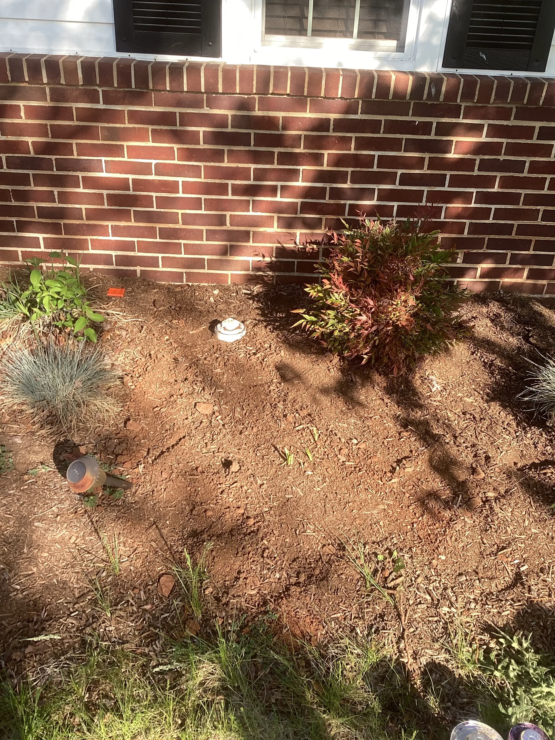 Underground irrigation sprinkler heads installed in mulched landscape bed with shrubs