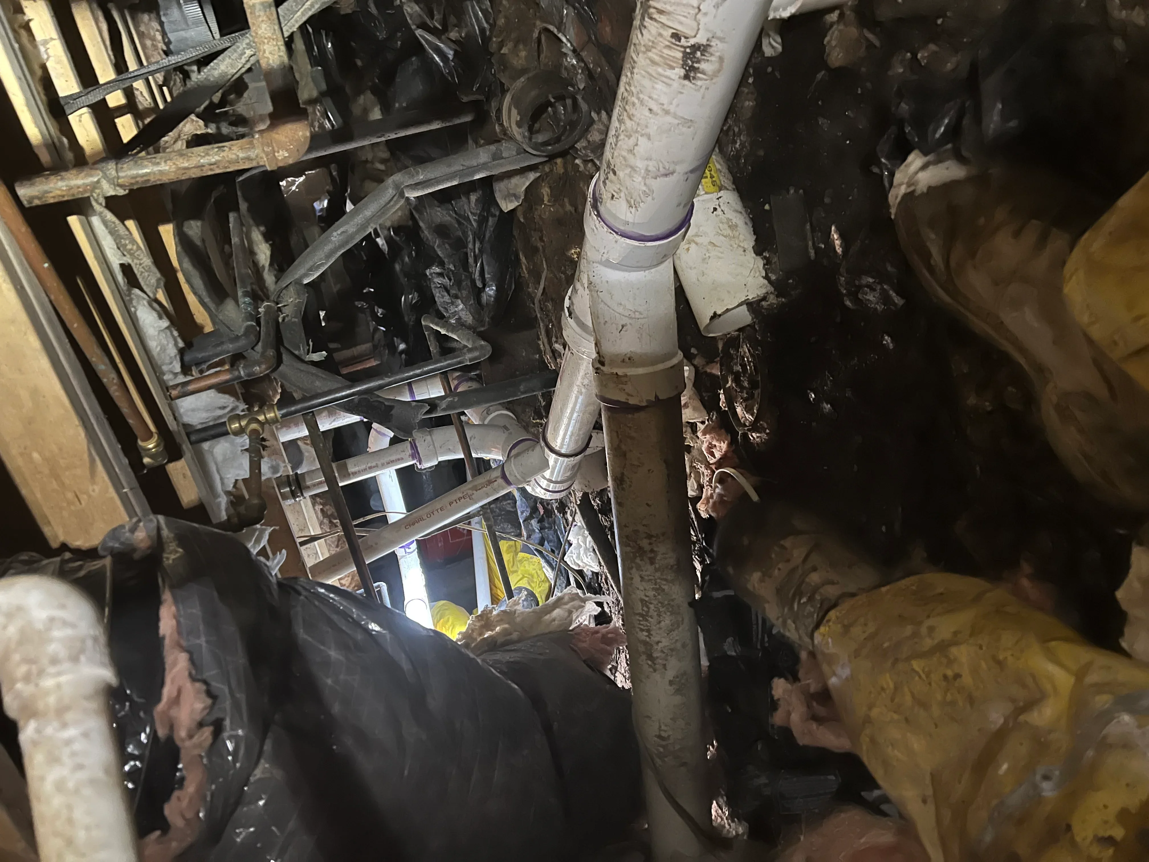 Underground sewer line replacement showing new PVC pipe installation in excavated trench